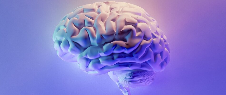 Where are all the neurodivergent teaching professionals? Where are all the neurodivergent teaching professionals?