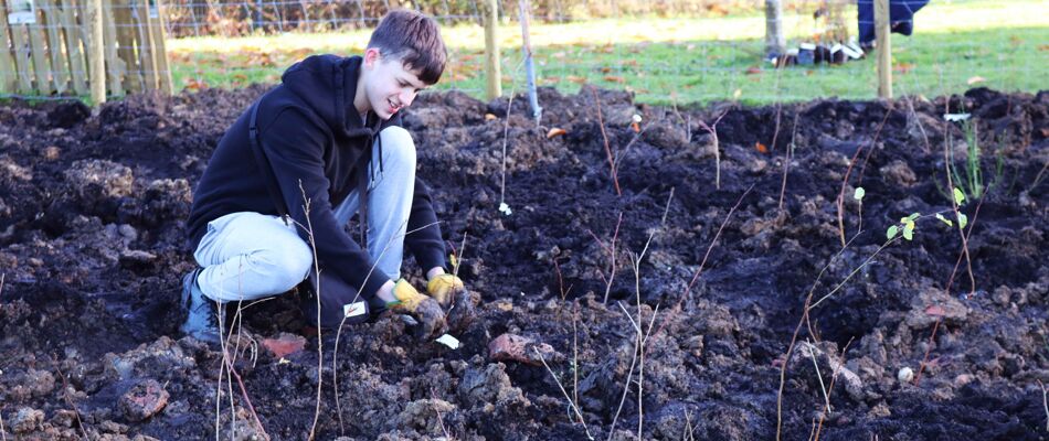 Sowing the seeds of sustainability: Our college eco-journey Sowing the seeds of sustainability: Our college eco-journey