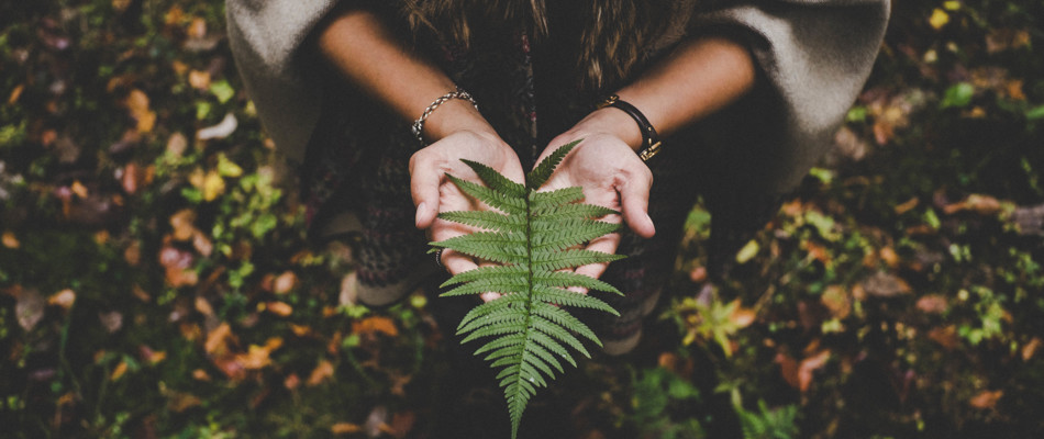 How teachers can push for environmental awareness in class How teachers can push for environmental awareness in class