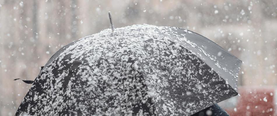 Our snowflake generation... or the guinea pig revolution?